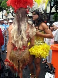 Rio's Carnaval and a Trip to Manaus 7 Men and women in the parade.