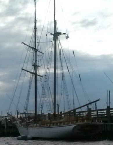 New Bedford Mass: A Historic Whaling City 7 A schooner on the harbor tour.