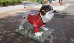 athens-georgia-bulldog