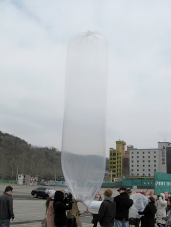 A Socks Drop on North Korea 2 The balloons filled with hydrogen gas about to carry socks to North Korea.