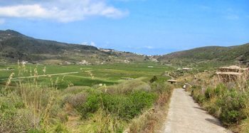 The roads on the island are all very narrow.