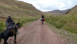 kyrgyzstan-a-horse