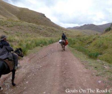 kyrgyzstan-a-horse