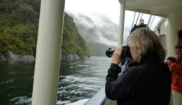 milford-sound