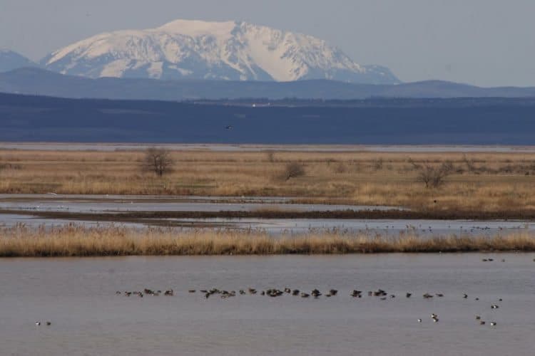 Landscape of ferto with Schneeberg in the background in Hungary.