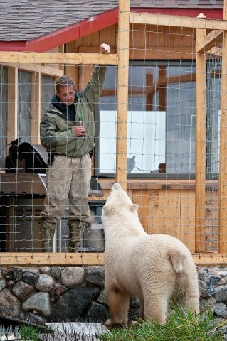 Manitoba: Singing to Belugas 3 Mike with bear. Dennis Fast photo.