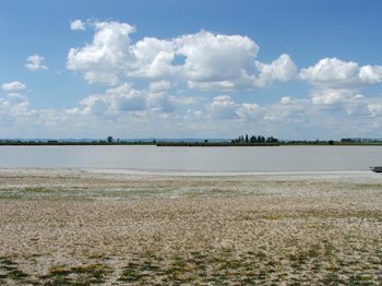 The saline area of the park.