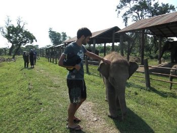 Nepal: Horse Trekking and Bungee Jumps 6 Baby elephant at Chitwan National Park.