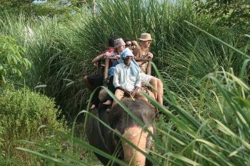 Nepal: Horse Trekking and Bungee Jumps 4 An elephant safari in the Himalayas.