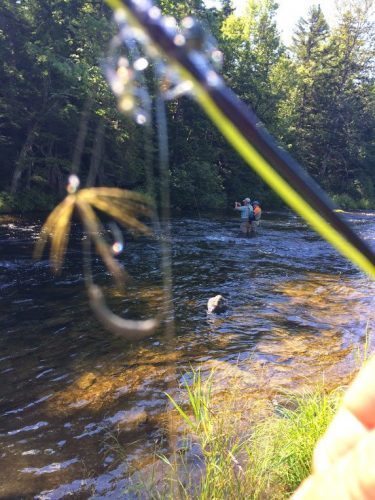 Fly fishing on the Connecticut river, just below the First Connecticut Lake with Bill Barnardt.