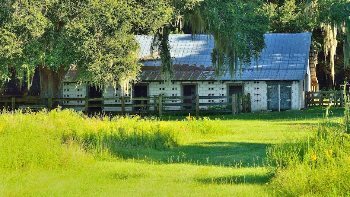 Florida Cracker stable at La Chua Trail. The Crackers were the first Western settlers and cowboys in Florida.