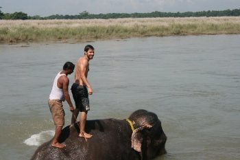 nepal horse trekking