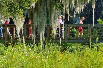 Many cyclists, birdwatchers and outdoor enthusiasts of every sort come to Paynes Prairie daily.