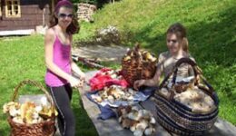 baskets_of_mushrooms