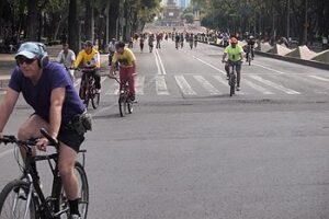 David Byrne's Bicycle Diaries David Byrne's Bicycle Diaries