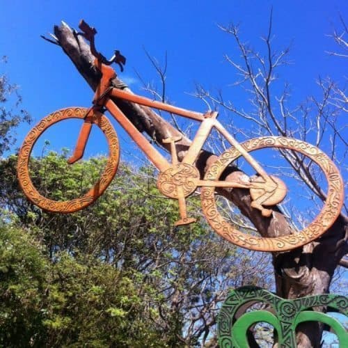 Chile: Rapa Nui's Mysterious Statues 7 Bicycle in a tree on Rapa Nui.