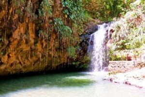 grenada-waterfall