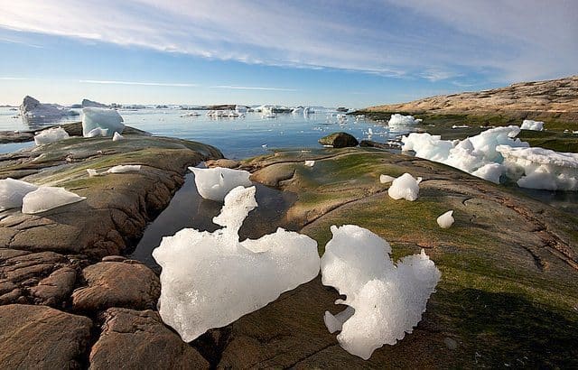 Ice in the harbor, in August, 2014.