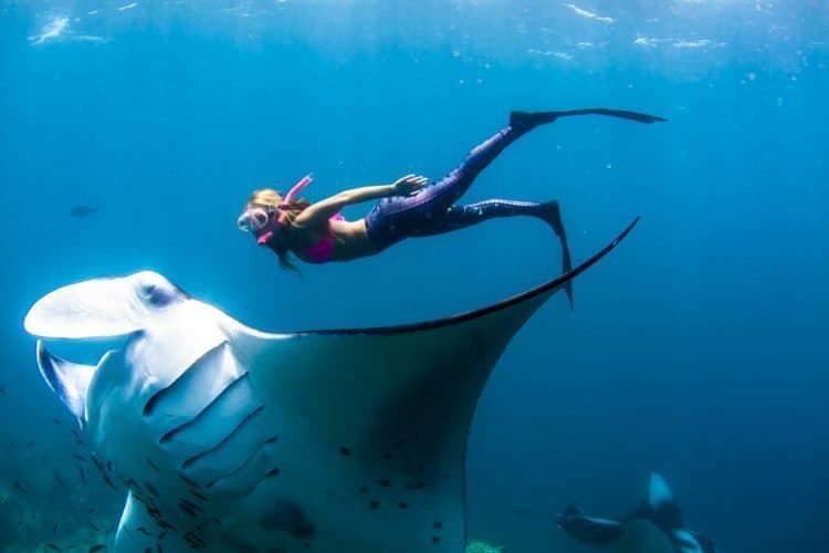 Maldives: Cleaning up Paradise 6 Alison swims with a manta ray in the biosphere Baa Atoll