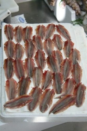 Anchovies