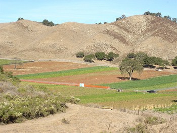 Drum Canyon Road, Solvang California. photos by Ted Lux.