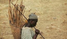ghana-guest
