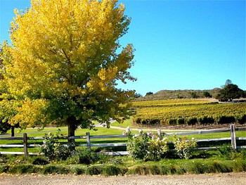Solvang California: a Cycling Adventure 9 Wine country in Solvang, California.