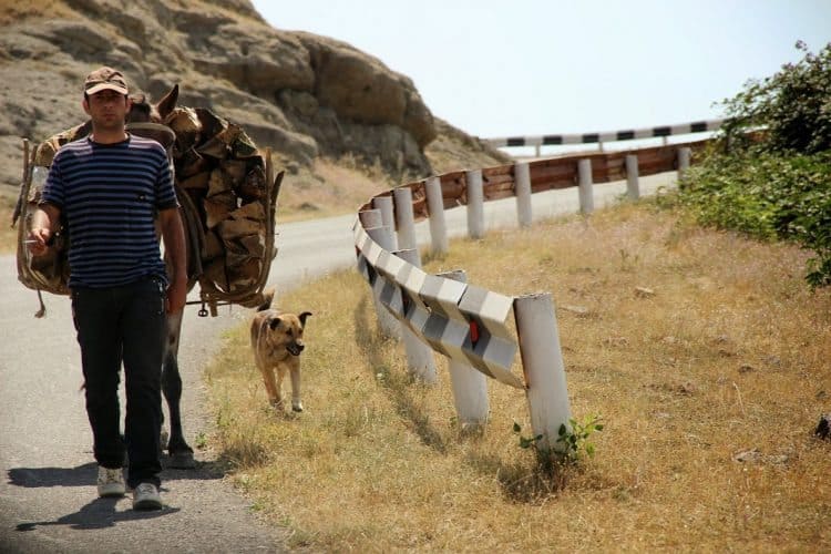 Bringing wood to the village in Nagorno-Karabakh.