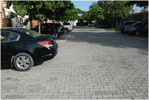 Lagos Nigeria: Navigating a Megacity 3 Mind your car, it may get stolen in Lagos