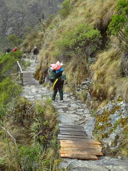 A porter on a trail in Peru, fueled by coca plant tea.