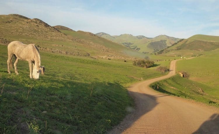 The gorgeous scenery in Edna Valley, Coastal California San Luis Obispo California. Max Hartshorne photos.