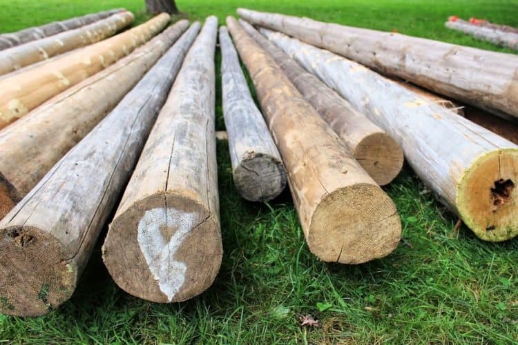 Cabers are these huge logs that are tossed during competition.