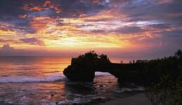 gonomad-bali