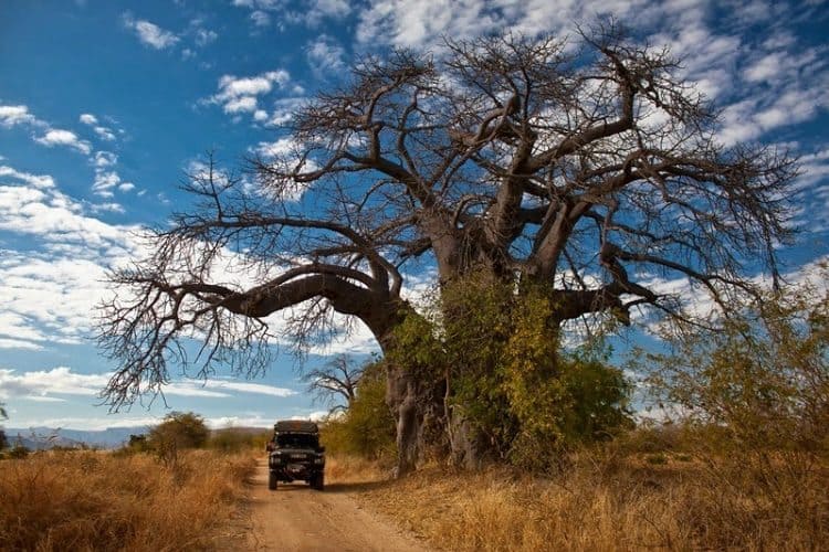 A Land Rover in the Matopo National Park.