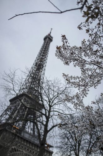 The Eiffel Tower in Paris, France.