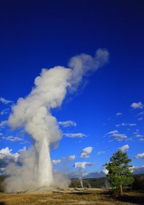 Old Faithful Yellowstone