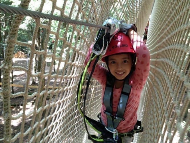 Up in the trees at Ramblewild in Massachusetts.