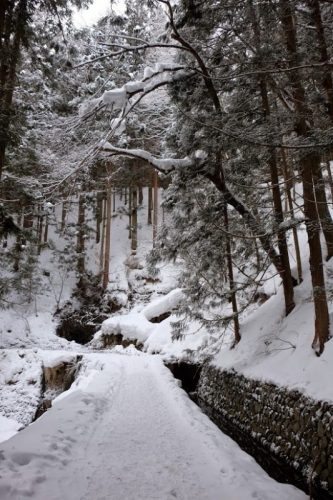 Hiking path in the park.