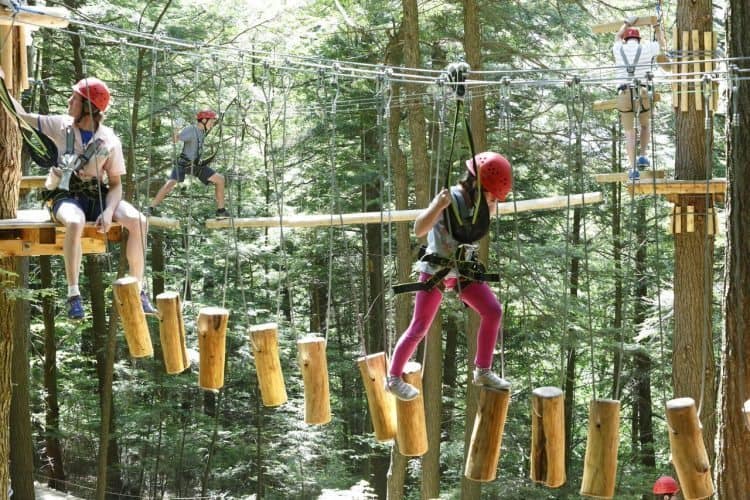 Walking up among the trees at Ramblewild in the Berkshires of Massachusetts.