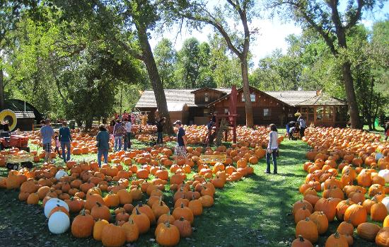 Papa's Pumpkin Patch in Bismarck offers old time fun for kids and grown-ups.