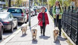 turku-hanko