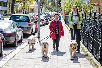 turku hanko