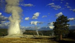 yellowstone