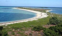 Dry Tortugas