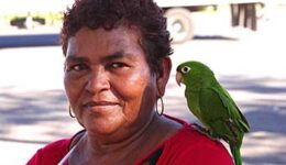 nicaragua-parrot