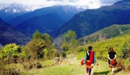 Two young gurung Buddhist villagers walking home after collecting Laliguran blossoms from a mountainside near Pokhara.