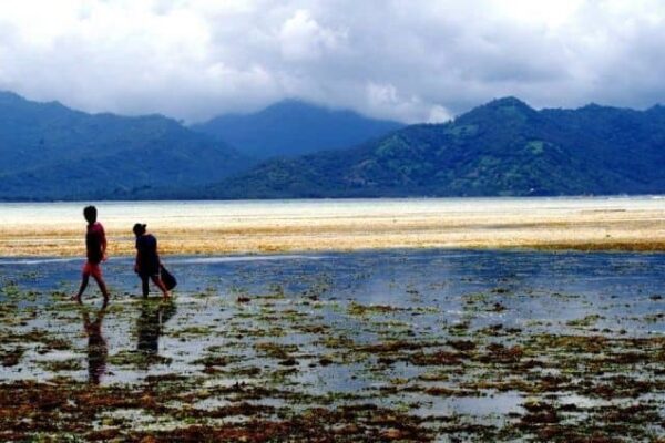 Two young girls walking out across the shallows at low tide on the Indonesian island of Gili Air. Michael Molyneaux photos.