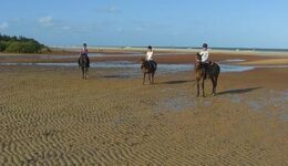 mozambique-volunteering