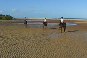 Mozambique: Volunteering on Horseback mozambique-volunteering