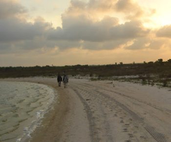 A sunset ride along the beach.